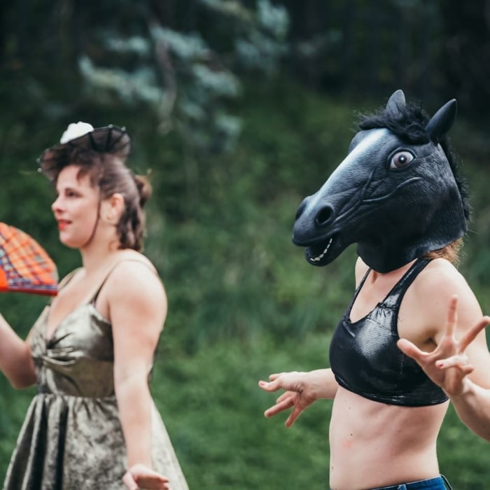Festivansa