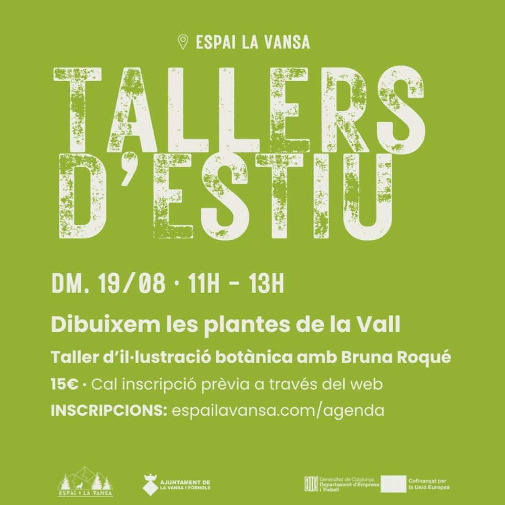 Taller "dibuixem les plantes de la Vall"