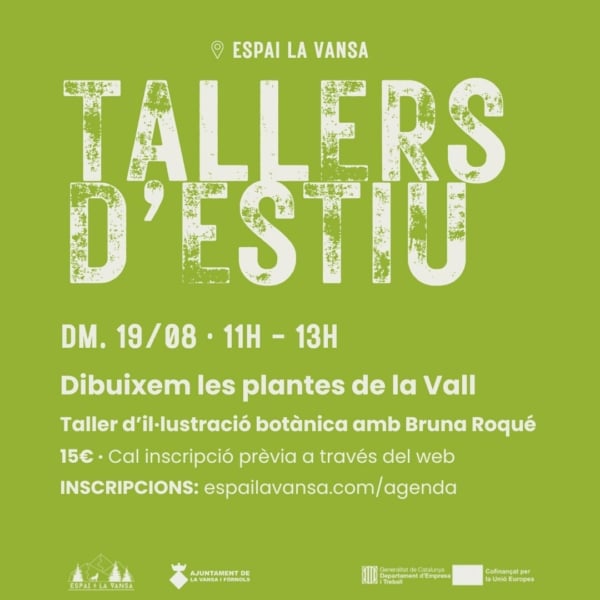 Taller "dibuixem les plantes de la Vall"